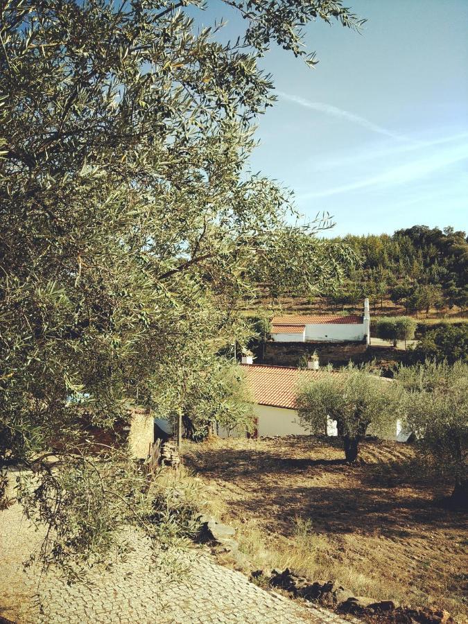 Casa De Pimenteis Villa Vimioso Kültér fotó